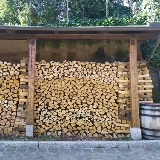 Wood