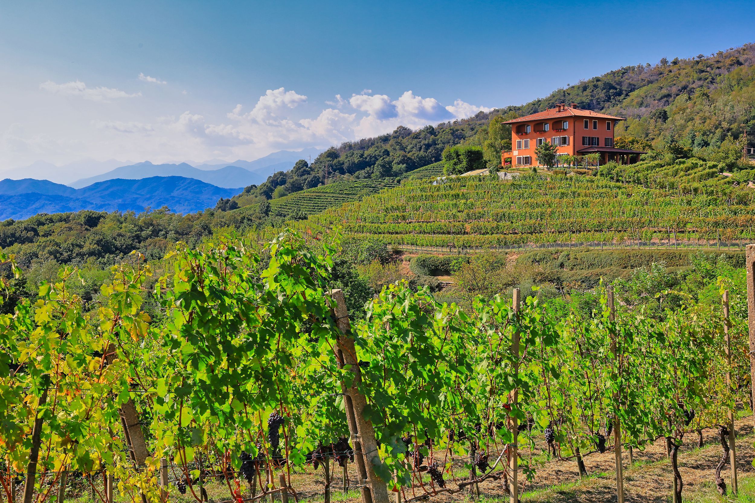 Panorama Podere ai Valloni