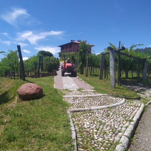 Utilizzo dell'atomizzatore in vigna 